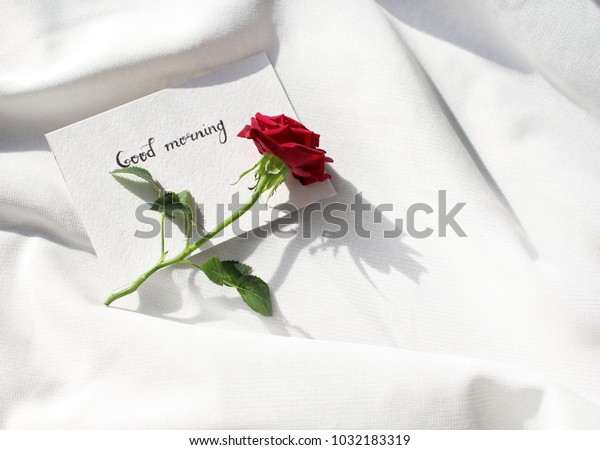 Good Morning Red Rose Little Card Stock Image Download Now