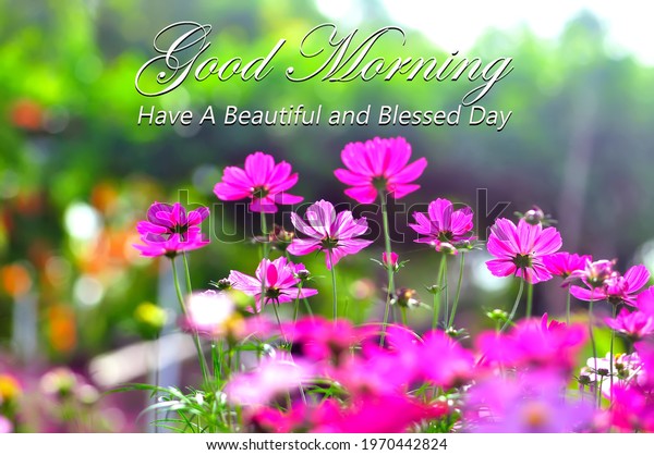 Good Mornng Have Beautiful Blessed Day Stock Photo 1970442824 ...