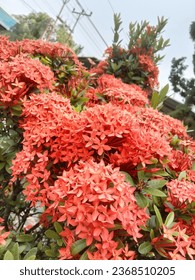 good night beb all posts by page posts 