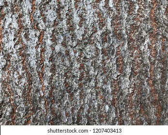 good pattern in korat