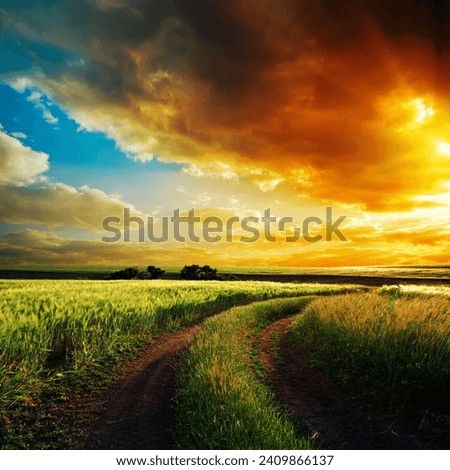 good sunset over winding road in field