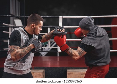 Good uppercut to the paw. Side view of muscular athlete in boxing gloves training on boxing paws while standing in boxing gym