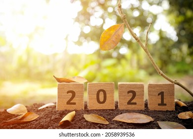Goodbye year 2021, last hope, summary and review concept. Wooden blocks with numbers 2021 and a tree with single leaf.