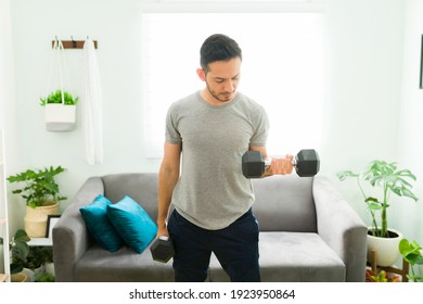 Good-looking Man Doing A Bicep Curl In The Living Room. Sporty Man Working Out With Weights To Stay Healthy And Fit 