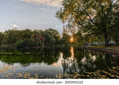 Goodmorning Sunrise Boston Public Garden