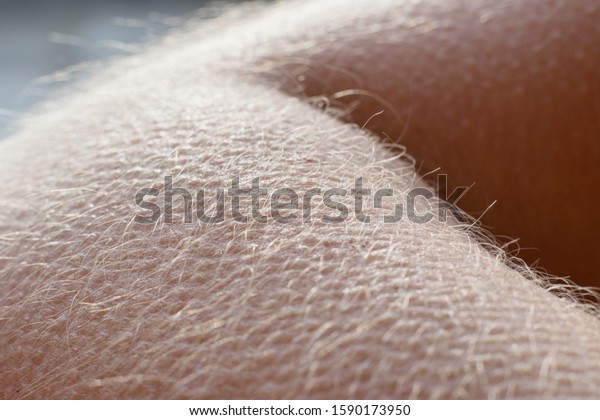 Goose bumps -\
human skin reaction on the\
cold