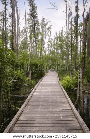 The Goose Creek State Park in North Carolina