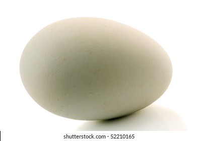 Goose Egg