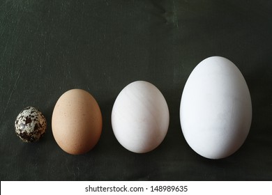 A goose egg, duck egg, hen egg and a quail egg.  Still Life photography. 