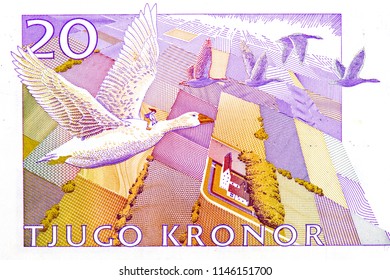 Goose flying over the flatlands of Skane, in southern Sweden. Portrait from Sweden 20 Kronor 2006 Banknotes. 