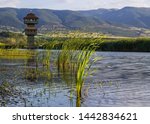 Goose Lake Nature Park and Birdwatching Tower (An important station point of migratory birds) in Pazar, Tokat, Middle Blacksea Region, Turkey