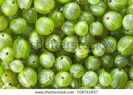 Gooseberries background