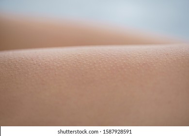 Goosebumps And Skin Reaction To Pleasure, Enjoyment, Arousal And Excitement