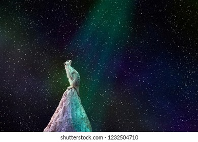 Gopher Animal Sitting On Top Of The Mound Looks At The Night Starry Sky In The Rays Of Colored Light