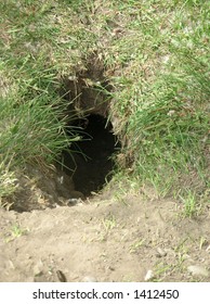 Gopher Hole