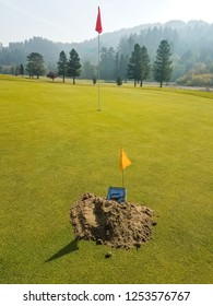 The Gopher Or Mole Trap And Mound On A Golf Putting Green With Its Own Flag