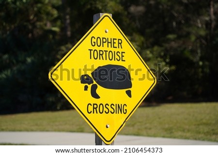 Gopher Tortoise Crossing Road Sign.                     