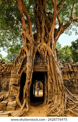 Gopura tower entrance door with lithophyte strangler fig roots, 12th century ta som temple, ta som, angkor, unesco world heritage site, siem reap, cambodia, indochina, southeast asia, asia