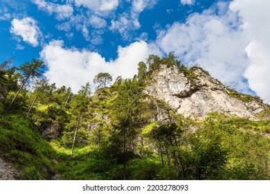 Gorge Almbachklamm In The Berchtesgaden Alps, Germany.