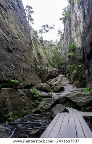 a gorge (cliff) called Hell on the Great Rift Trail (Lower Silesia, Dolina Kłodzka, Kudowa Zdroj). Vertical Photo