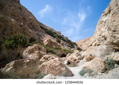 Gorge Mountains Oasis Judean Desert Beautiful Stock Photo 1258444036 ...