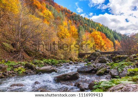 To the gorge of Trigrad