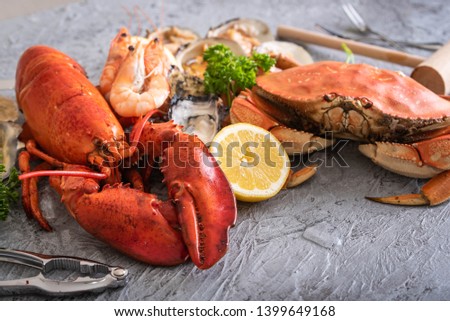 gorgeous assorted seafood image for background