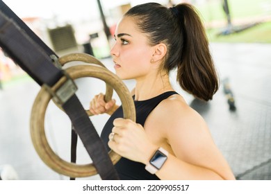 Gorgeous Athletic Young Woman Practicing Trx Training And Using Rings To Do Row Back Exercises