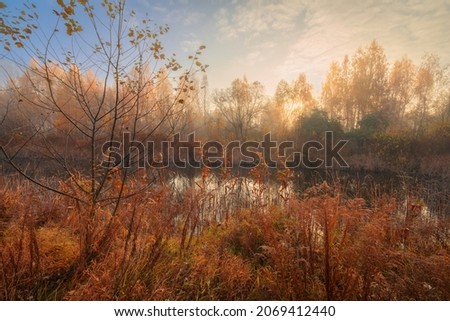 Gorgeous autumn dawn on the coast of a forest lake. Dreamy foggy scenery with the sun, rising over yellow trees.