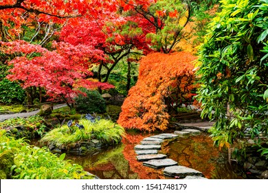Gorgeous Autumn foliage  in Japanese Garden 1, Victoria BC Canada.