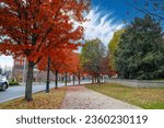 a gorgeous autumn landscape at Nashville Public Square Park with green and red trees, fallen autumn leaves, grass, a footpath and buildings in Nashville Tennessee USA