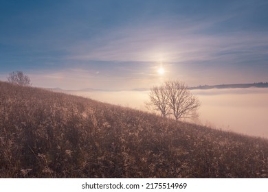 Gorgeous Autumn Morning In The Carpathian Mountains. Sun, Rising Over The Foggy Valley, A Group Of Trees On A Dry Grass Hill.