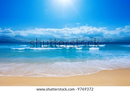 Gorgeous Beach in Summertime
