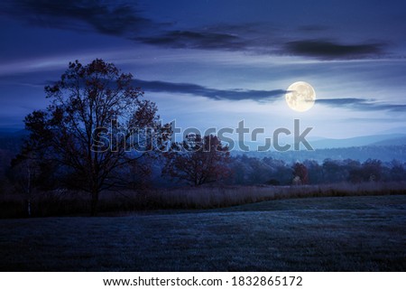 gorgeous countryside at dawn in autumn at night. trees in colorful foliage on the grassy field in full moon light. mountains in the distance