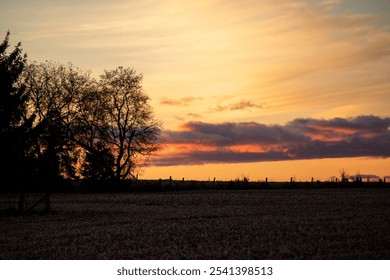 Gorgeous fall autumn sunset twilight dusk setting sun. Country countryside rural farm farmland. Tree trees silhouette fence line fencing. Corn field after the harvest stubble agriculture. Pastel color - Powered by Shutterstock