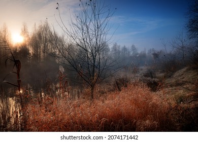 Gorgeous foggy autumn dawn near a small forest lake. Dreamy scenery with the sun, rising over the autumn forest.