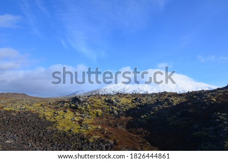 Similar – Image, Stock Photo Snow-covered mountain and Icelandic moss