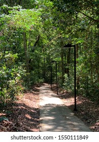 A Gorgeous Jogging Trail Surrounded By Native Tropical Trees Inside A Residential Condominium In Goiania, Goias, Brazil