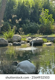 Gorgeous lake in the park in sunny day