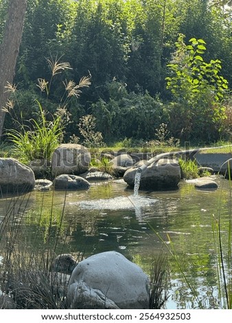Gorgeous lake in the park in sunny day