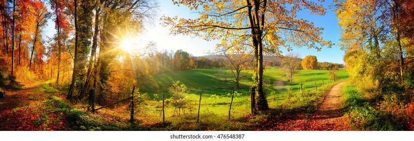 Gorgeous landscape panorama showing a meadow and a path leading into a forest, with autumn colors and blue sky