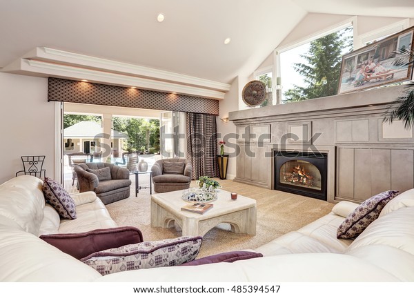 Gorgeous Luxury Furnished Family Room Interior Royalty Free