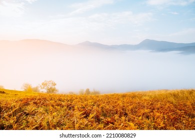 Gorgeous Morning Landscape Of The Countryside In The Mountains With Morning Fog. Location Place Carpathian Mountains, Ukraine, Europe. Autumn Photo. Incredible Wallpaper. Discover The Beauty Of Earth.