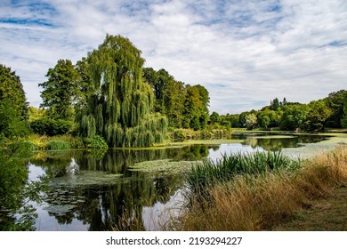 Gorgeous River And Weeping Willow Tree In The Wooded Grounds Of Hatfield House, Hertfordshire, UK