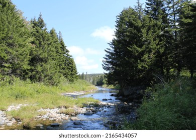 Gorgeous Rocky New Brunswick River. 