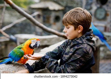 Gorgeous School Kid Boy Feeding Parrots In Zoological Garden. Child Playing And Feed Trusting Friendly Birds In Zoo And Wildlife Park. Children Learning About Wildlife And Parrot.