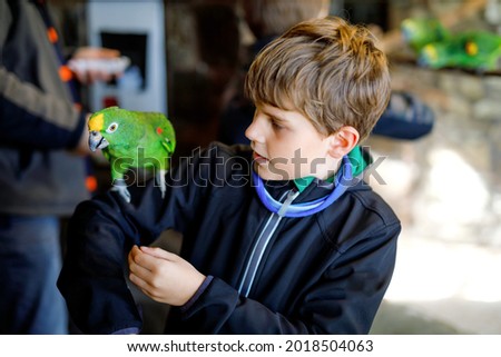 Gorgeous school kid boy feeding parrots in zoological garden. Child playing and feed trusting friendly birds in zoo and wildlife park. Children learning about wildlife and parrot.