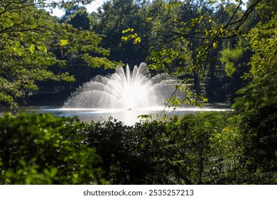 a gorgeous shot of a majestic water fountain in the middle of still lake water with lush green and autumn colored trees and plants reflecting off the lake water with blue sky and clouds at Lenox Park	 - Powered by Shutterstock