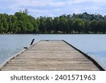 gorgeous shot of a wooden bridge over the lake with palm trees and lush greenery around the banks of the lake with blue sky and clouds at Lake Evans at Fairmount Park in Riverside California