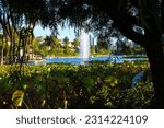 a gorgeous summer landscape at Echo Park Lake with a lake, a water fountain, lush green trees, grass and plants with blue sky in Los Angeles California USA